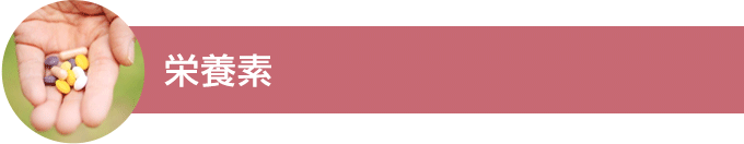 栄養素